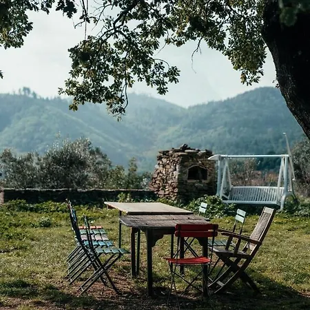 Reggioli- Cestaio Apartment Gaiole in Chianti