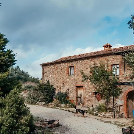 Reggioli- Cestaio Gaiole in Chianti